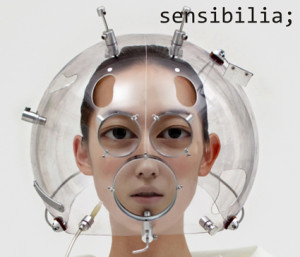 Sensibilia opens at the Definitely Superior Art Gallery Nov. 30.