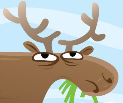 Moose Madness weekend is Oct. 21-23 in Grand Marais.