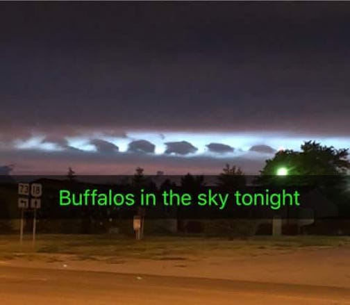 Buffalos in the sky  tonight by Joni Salomon.