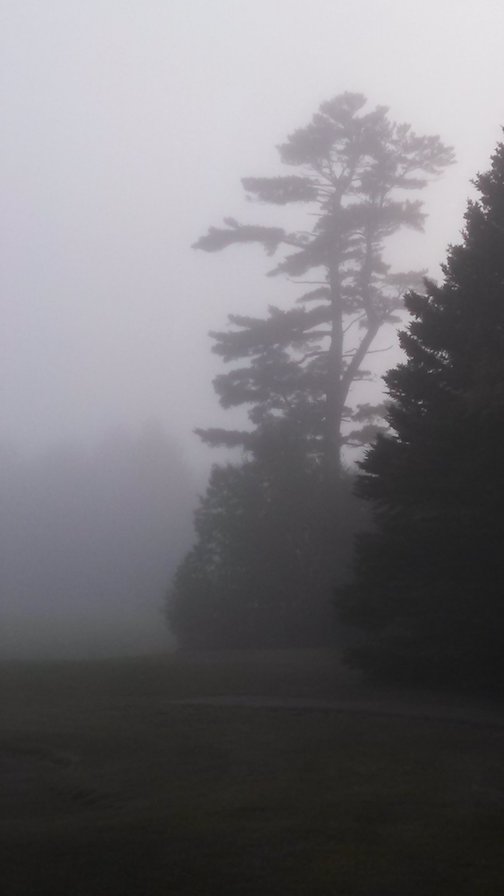 Fog and Lake Superior by  Lori Backlund.