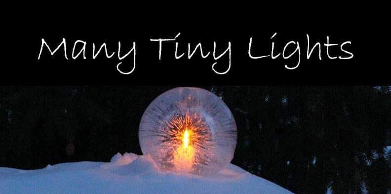 Many Tiny Lights, a fundraiser for the PTA will be held at Drury Lane Books on Friday.