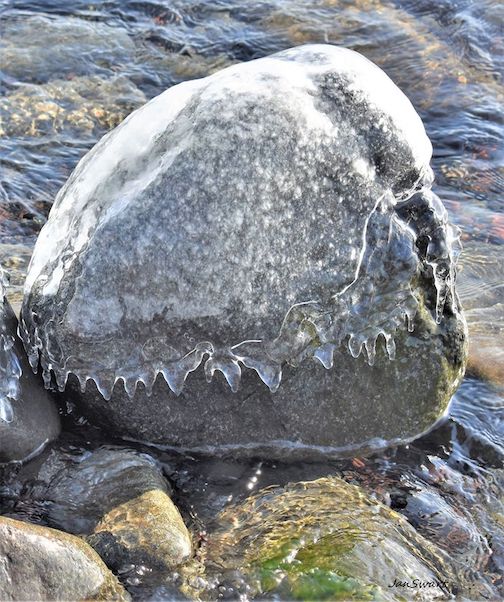 Lake Superior rock shark by Jan Swart.