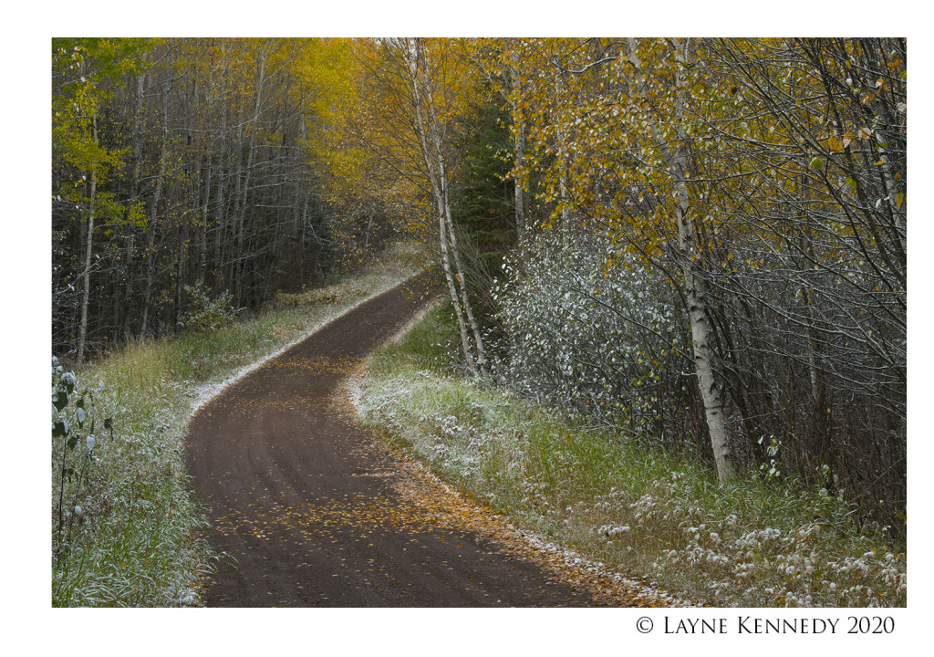 First Snow. Road to Elbow Lake. Photograph by Layne Kennedy. 