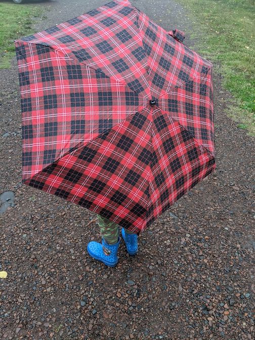 "Every kid needs an umbrella." Quote by a 5-year-old.