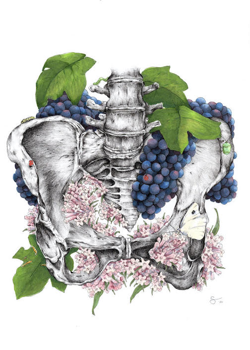 Inside Series, pen and marker illustration by Sarah Ann Nelson.