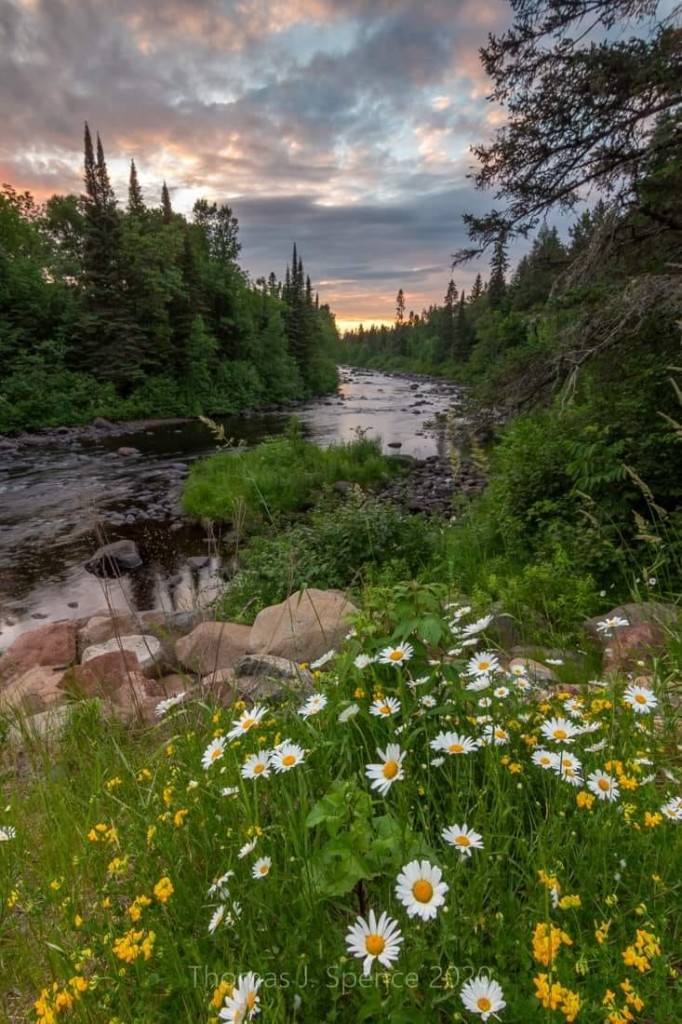 Favorite summer view: Temperance River by Thomas Spence ce.