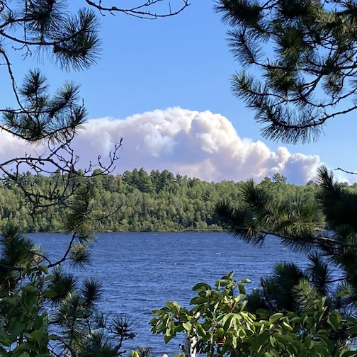 Looking towards the Greenwood fire by Amy Freeman.