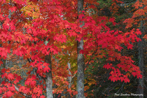 October Colors by Paul Sundberg.