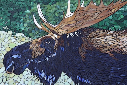 Moose, by Bailey Aaland.