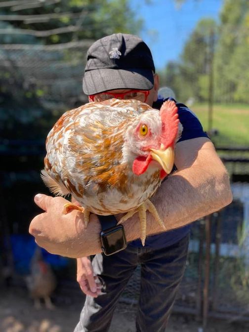 A chicken friend with Timothy Youmg.