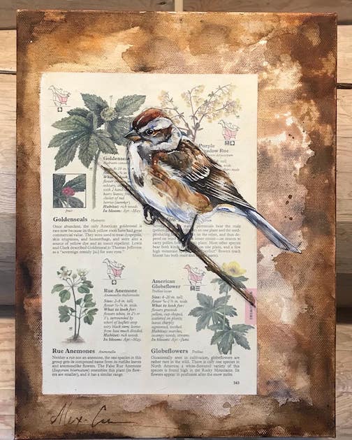 American Tree Sparrow in its habitat, a multimedia piece by Alexa Carlson, is one of the works on exhibit at the Heritave Post this month.