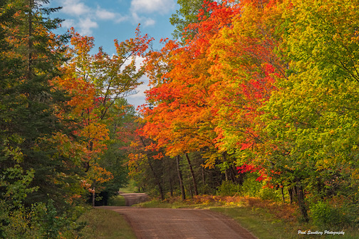 Fall Colors by Paul Sundberg