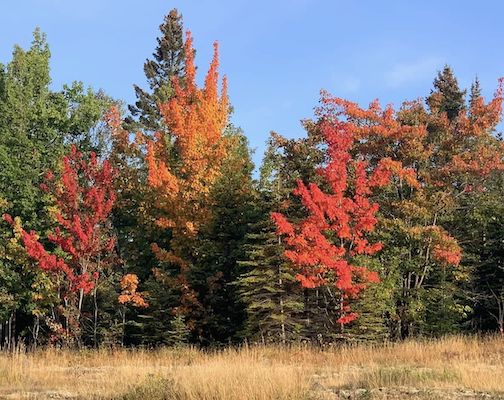 Fall color begins by Jim Boyd.