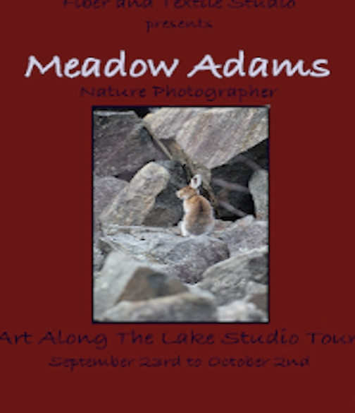 Meadow Adams Nature Photography.