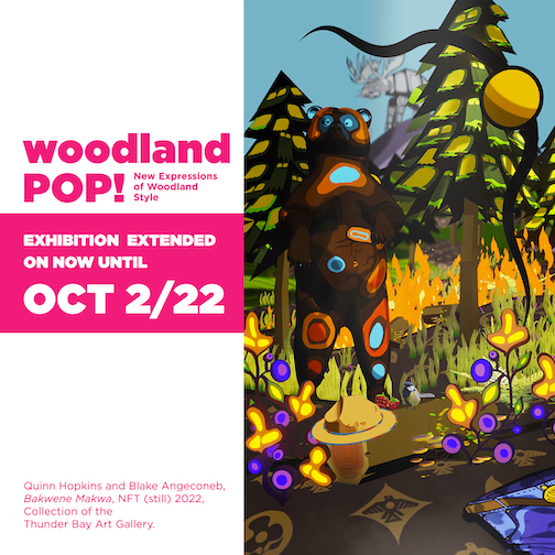 Woodland Pop! an exhibit of new impressions of the Woodland style continues at the Thunder 'bay Art Gallery for another week,