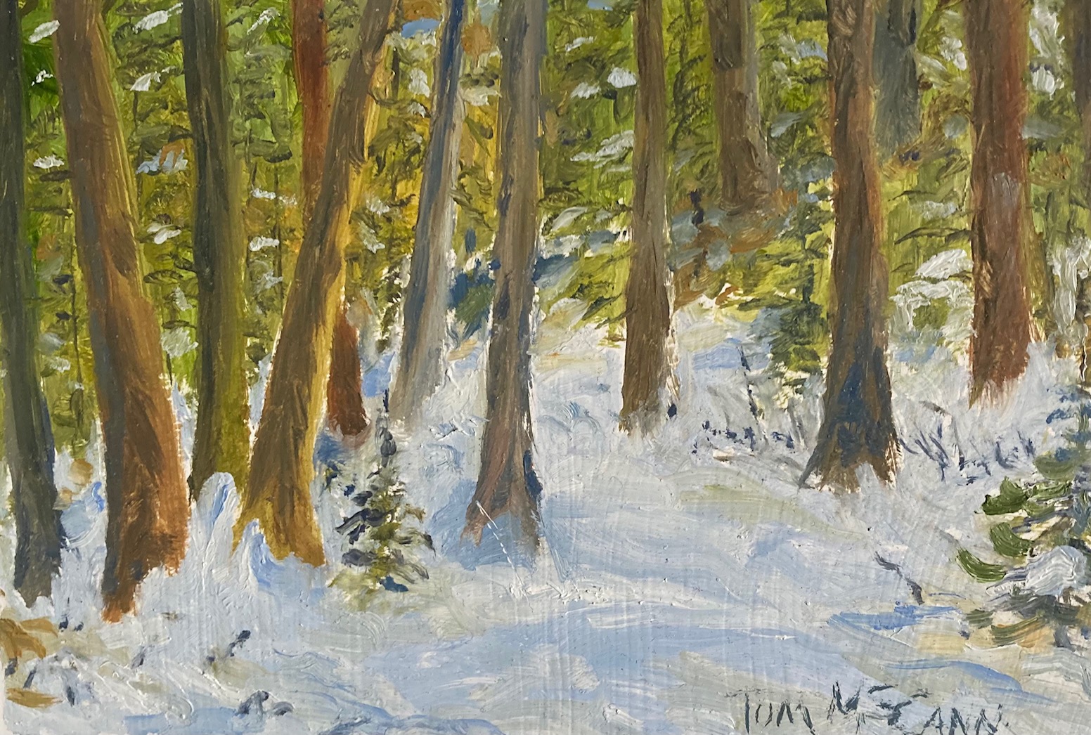 The Woods in Winter, by Tom McCann.