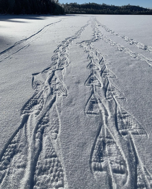 Snowshoe highway by Alisa Berns.