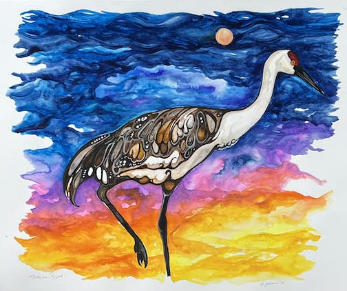 Sandhill Crane, Ajijaak, watercolor, by Sam Zimmerman.