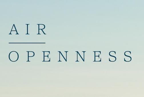 The opening reception for the Grand Marais Art Colony's summer exhibit Air Openness will be held on :friday, May 26 at Studio 21.