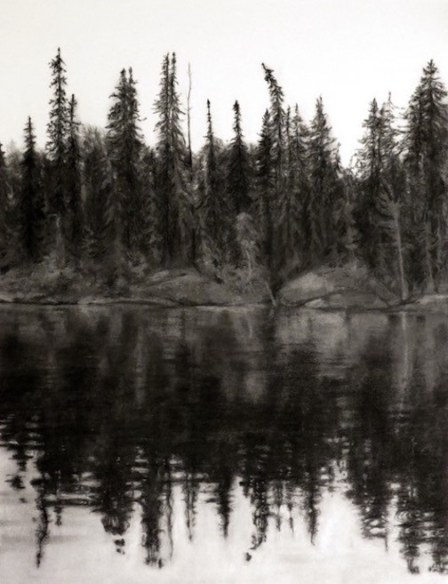 Trees 3, charcoal, is one of the works by Dodie Logue, on view at Tettegouche State Park.