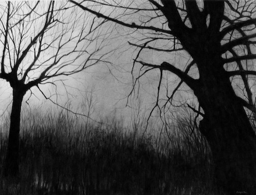  Two Trees, charcoal on paper,  by Dodie Logue is one of the artworks one display in the Great Hall at Tettegouche State Park.