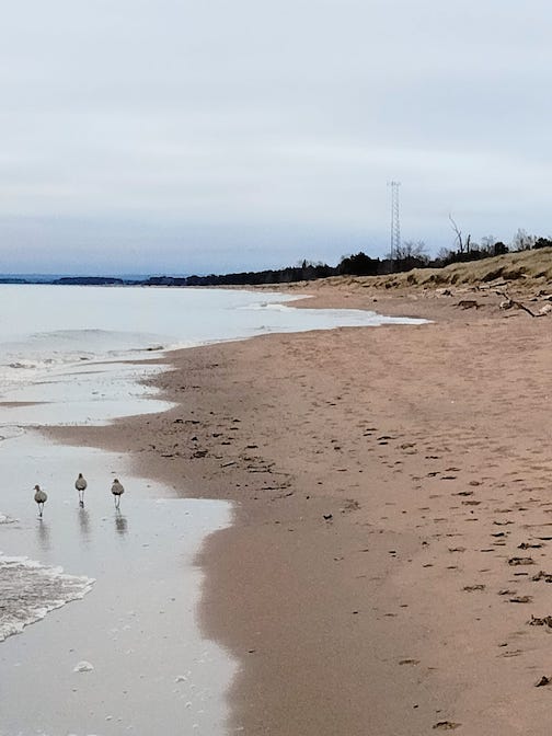 Walking companions on a Duluth beach by Siffy Torkildson..