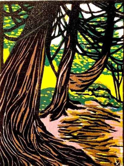 Ceder Forest woodcut print by Betsy Bowen