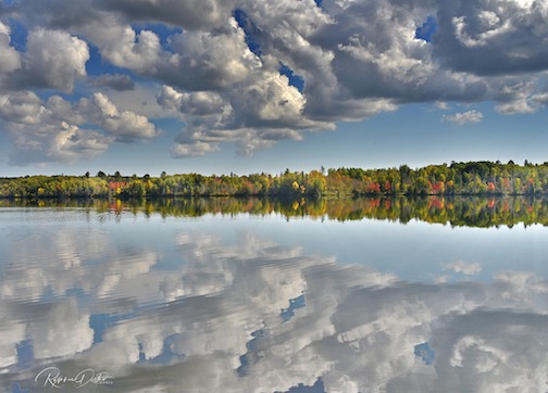 Afternoon Reflections by Roxanne Distad.