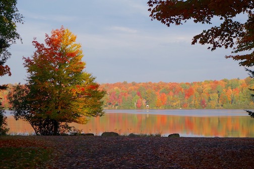 Fall in the UP by Sandra Updyke.