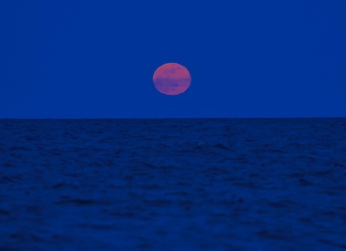 The February Full Moon by Chuck Olsen.