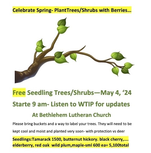 Seedling Tree Give Away May 4.