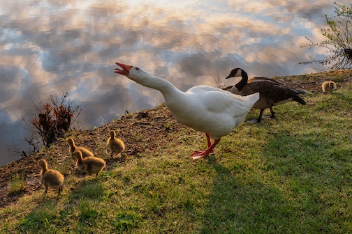 A sunset walk by Paul Sundberg.