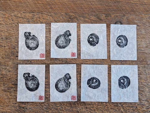 Diamond willow cross sections printed on rice paper by Bryan Hansel.