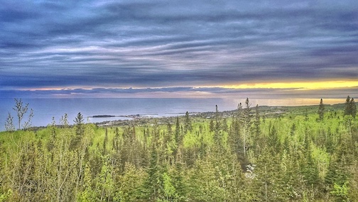 Spring on Pincusion Overlook by Don Davison.
