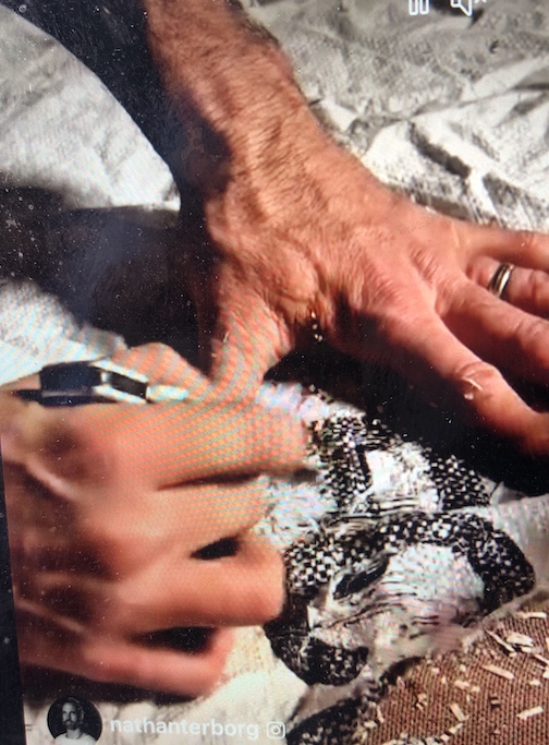A short video of artists at work. Click here to see.