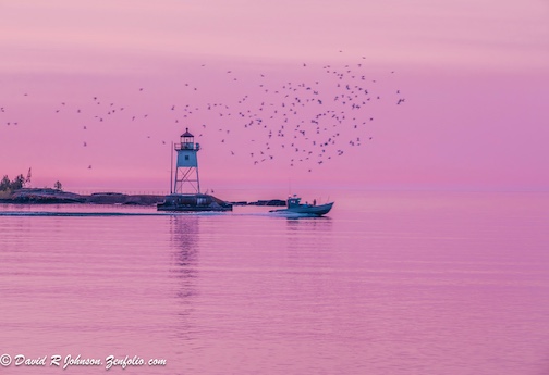 Another morning of checking the nets by David Johnson.