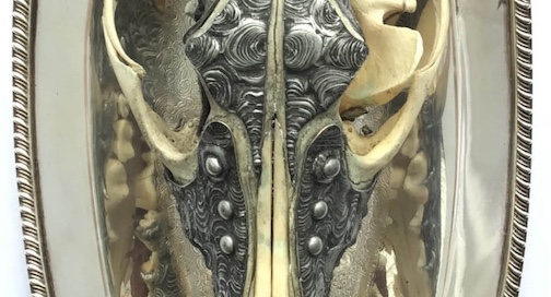 Human, 2015, detail, synthetic skull, deer, human and porcelain teeth, silver platter, glass, mixed metals, deer antlers, bone by Kris Goold.