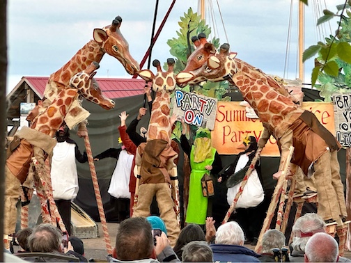Phenomenal giraff puppets at the Summer Solstice Pageant. Kudos to the Harbor Hill Players. Photo by Maryl Skinner.