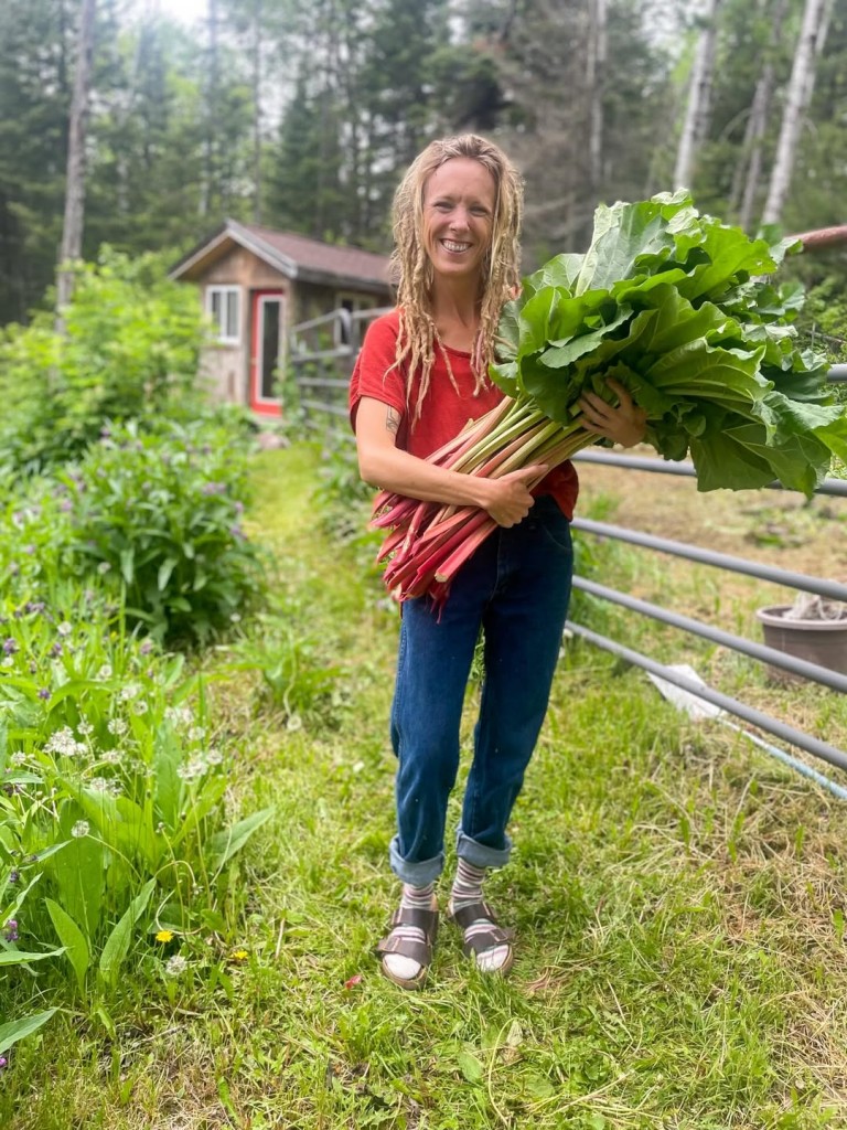Rhubarb rules! AmyMarie Schmidt is back in the northwoods for a few days and found that her rhubarb thrived.