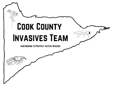 The Cook County Invasives Team will give a presentation at Chik-Wauk on Sunday at 2 pm.