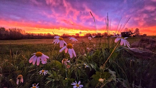 A fall sunset by Jamie Rabold.