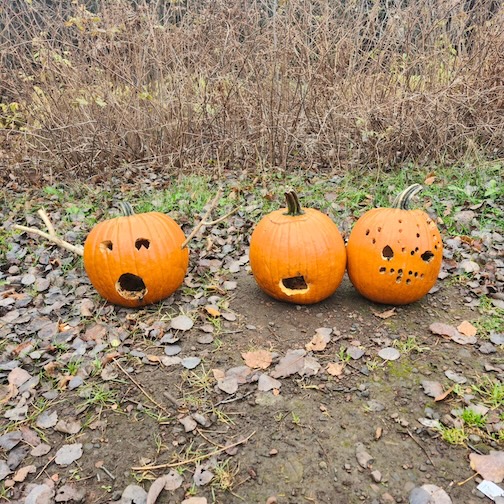 Abandoned pumpkins in the woods by Staci Lola.