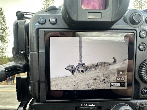 Before the click by Heidi Pinkerton.