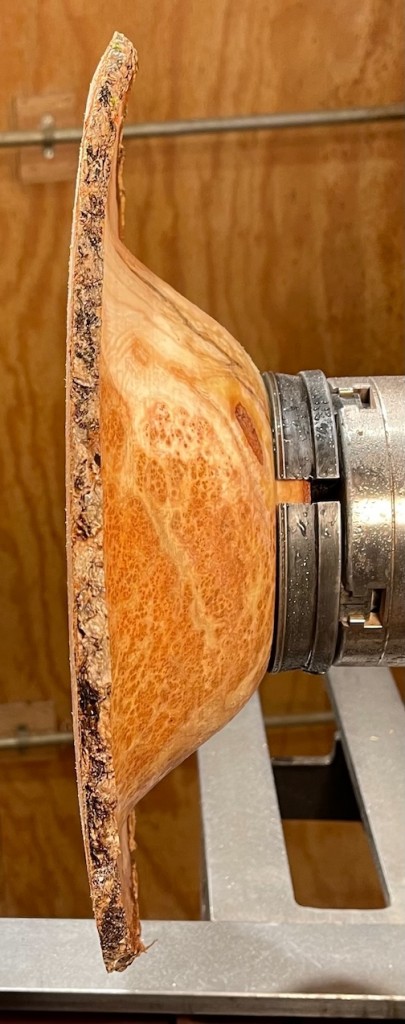 A burl turning into a bowl by Lou Pignolet.