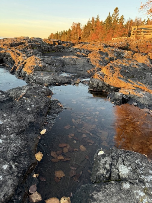 Cold and gold by Churck Olsen.