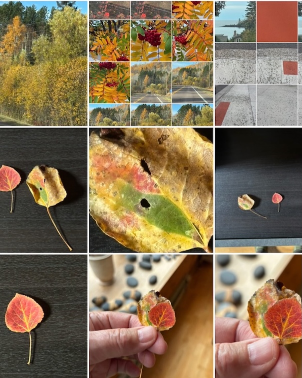 Every day I tink we're done Then there's a bit more color by Mary Beams.