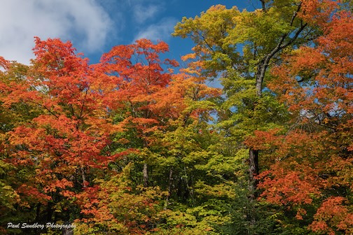 Fall Colors by Paul Sundberg.