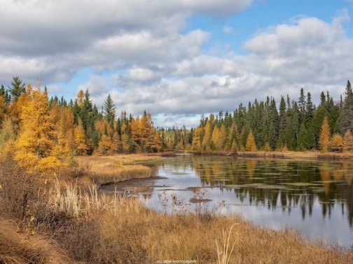 Fall in its splendor by Jill Beim.