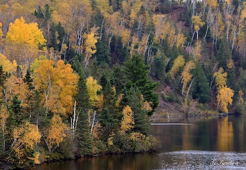 Fall tumbles in at Jay Cooke State Park by Gregory Isrealson.