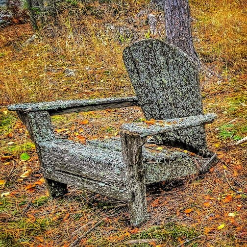Forgotten Adirondack, October 2025 by Don Davison.